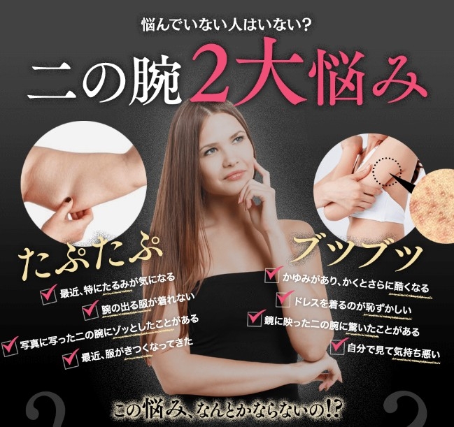 説明文